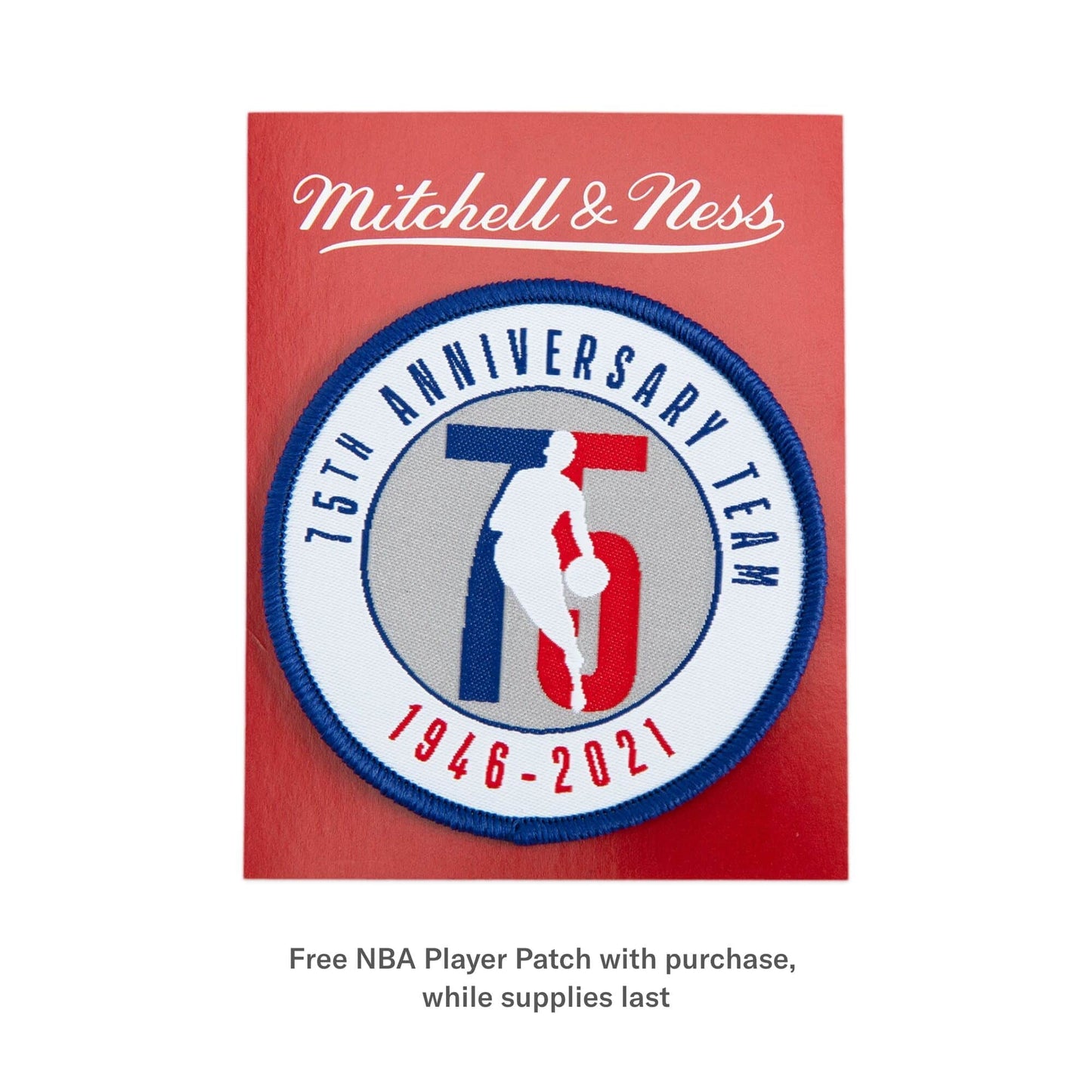 Julius Erving New York Nets Mitchell & Ness 1973-74 Hardwood